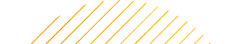vector6