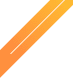 vector4